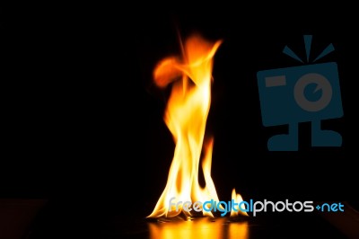 Burning Fire Flame On Black Background Stock Photo