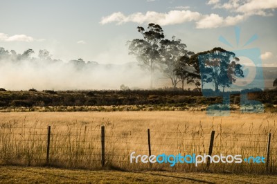 Bush Fire In A Country Town Stock Photo