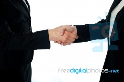 Business Deal, Handshake Stock Photo