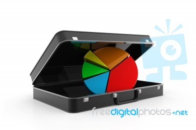 Business Diagram In Briefcase Stock Image