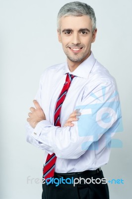 Business Executive Posing In Formals Stock Photo