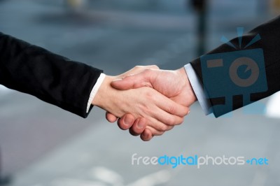 Business Handshake, Deal Finalized Stock Photo