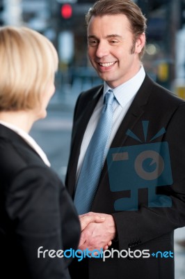 Business Handshake, The Deal Stock Photo