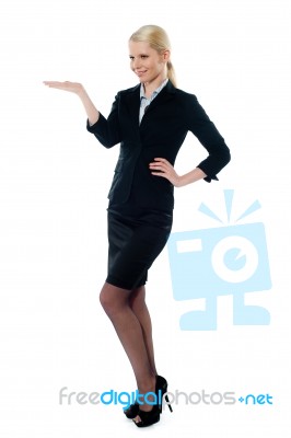 Business Lady Introducing Stock Photo