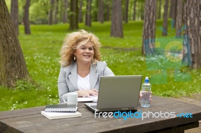 Business Lady Using Laptop In Park Stock Photo