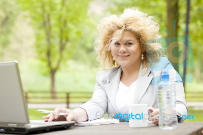 Business Lady Using Laptop In Park Stock Photo