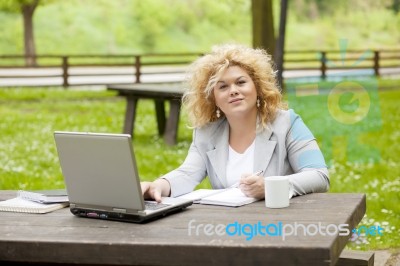 Business Lady Using Laptop In Park Stock Photo