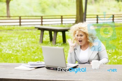 Business Lady Using Laptop In Park Stock Photo