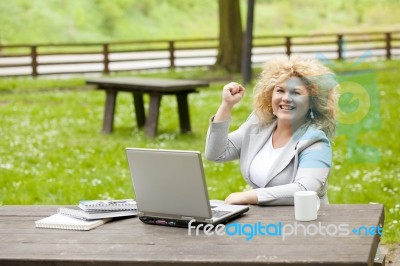 Business Lady Using Laptop In Park Stock Photo