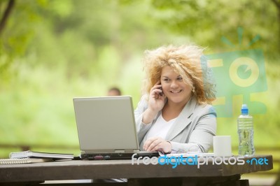 Business Lady Using Laptop In Park Stock Photo