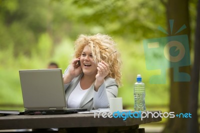 Business Lady Using Laptop In Park Stock Photo