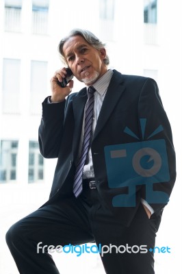 Business Man With Mobile Phone Stock Photo