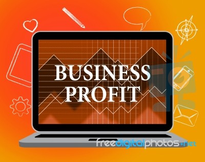 Business Profit Shows Web Site And Biz Stock Image