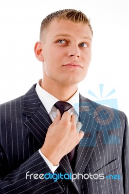 Businessman Adjusting His Tie Stock Photo