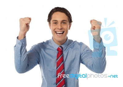 Businessman Celebrating Success Stock Photo