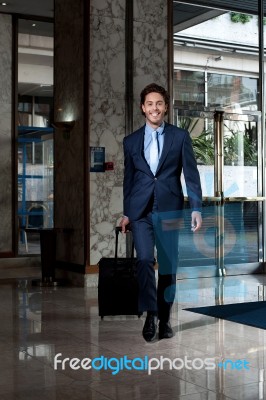 Businessman Holding Luggage Stock Photo