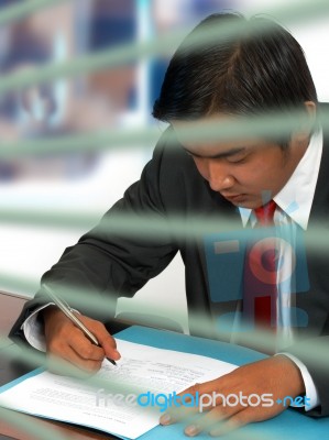 Businessman Reading A Document Stock Photo