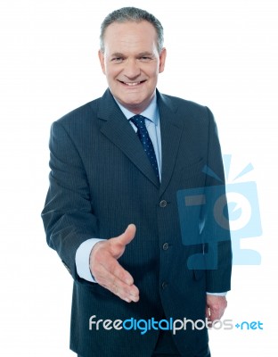 Businessman shaking hand Stock Photo