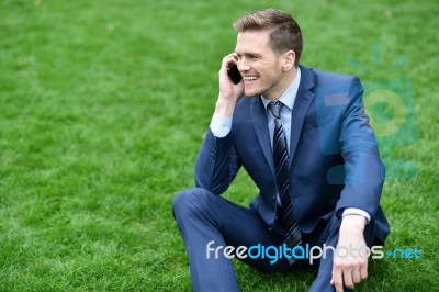 Businessman Using Mobile Phone In Park Stock Photo