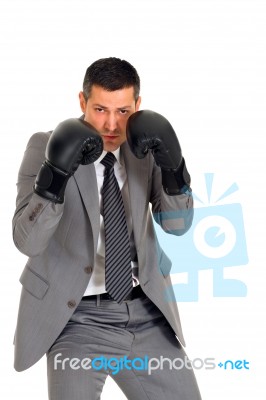 Businessman With Boxing Gloves Stock Photo