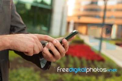 Businessman With The Smart Phone Stock Photo