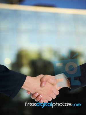 Businesspeople handshaking Stock Photo