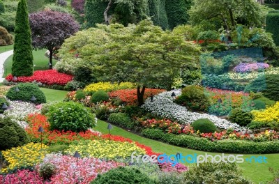 Butchart Gardens In Brentwwod Bay Vancouver Island Stock Photo