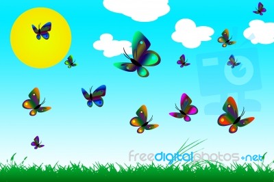 Butterflies Stock Image