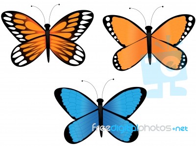 Butterflies Stock Image