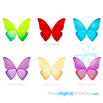 Butterflies Stock Image