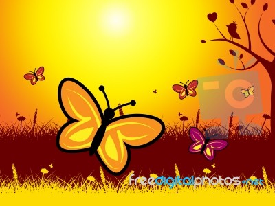 Butterflies And Flowers Show Evening Nature And Summer Stock Image