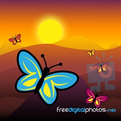 Butterflies At Nighttime Represents Flying Luna And Darkness Stock Image