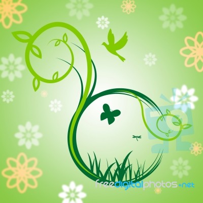 Butterflies Birds Represents Environment Flying And Tree Stock Image