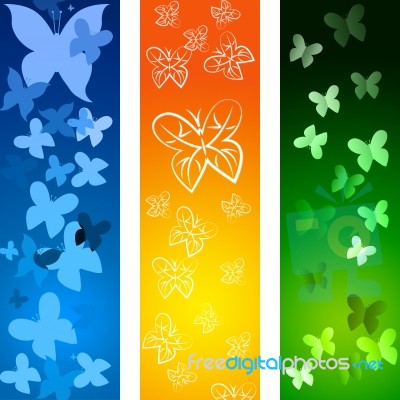 Butterflies Copyspace Indicates Blank Flying And Backdrop Stock Image