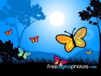 Butterflies Nature Indicates Outdoors Environment And Natural Stock Image