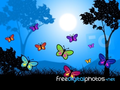 Butterflies Nature Means Countryside Outdoors And Green Stock Image