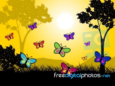 Butterflies Nature Shows Natural Trees And Outdoors Stock Image