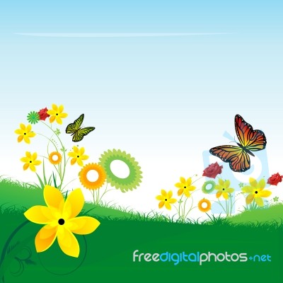 Butterflies On Flower Stock Image