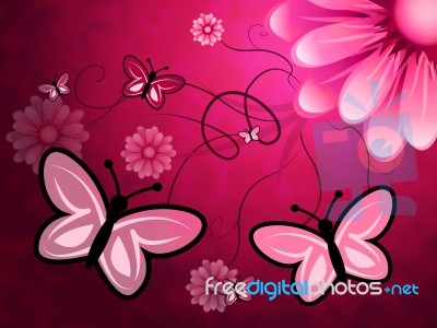 Butterflies On Flowers Indicates Florist Butterfly And Bloom Stock Image