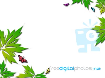 Butterfly Stock Image