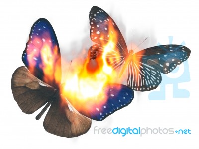 Butterfly Design Stock Image