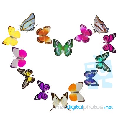 Butterfly Heart Stock Photo