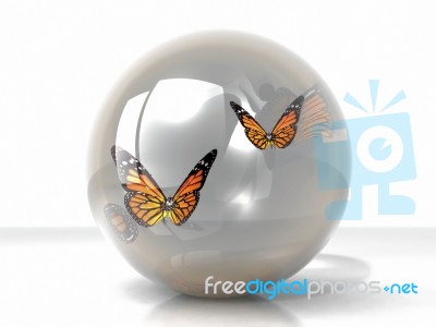 Butterfly In A Bubble Stock Image