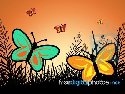 Butterfly In Summer Indicates Warmth Heat And Butterflies Stock Image