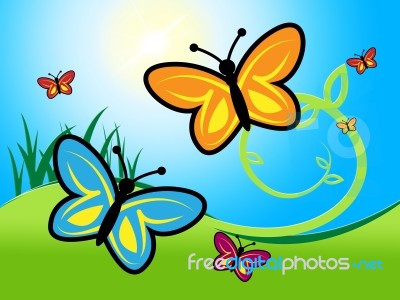 Butterfly In Summer Indicates Warmth Warm And Summertime Stock Image