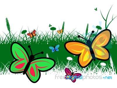 Butterfly In Summer Represents Warm Butterflies And Summertime Stock Image