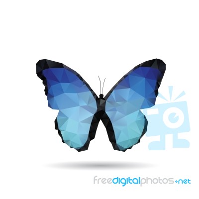 Butterfly Isolated Stock Image