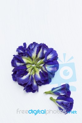 Butterfly Pea Flower Arrange In Flower Shape Stock Photo