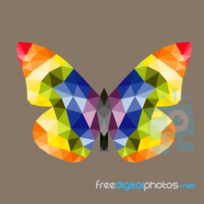 Butterfly Polygon Style Stock Photo Stock Image