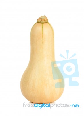 Butternut Squash Isoalted On The White Stock Photo